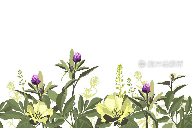 Vector floral seamless pattern, border with yellow and purple flowers, green herbs, leaves.